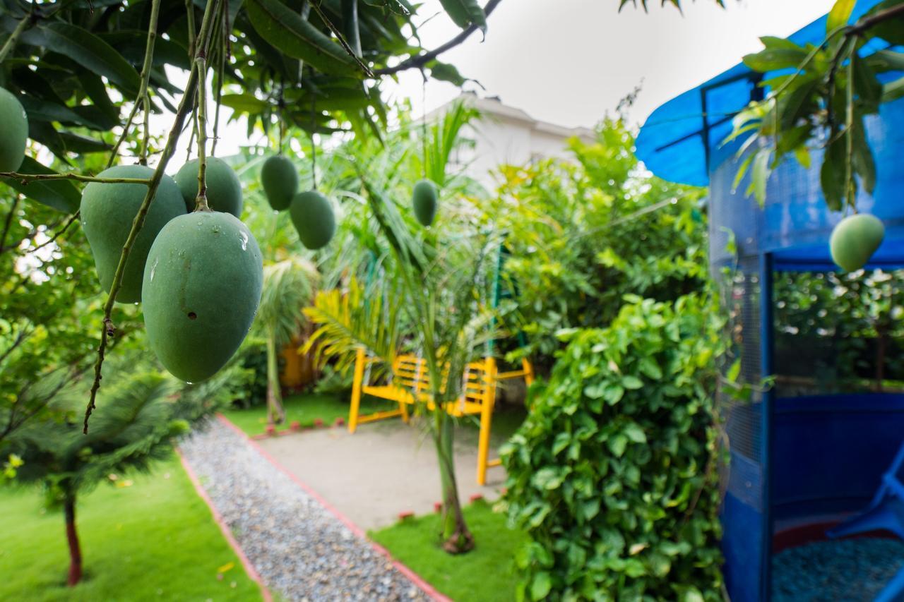 Galaxy Guest House Siddharthanagar Exterior photo